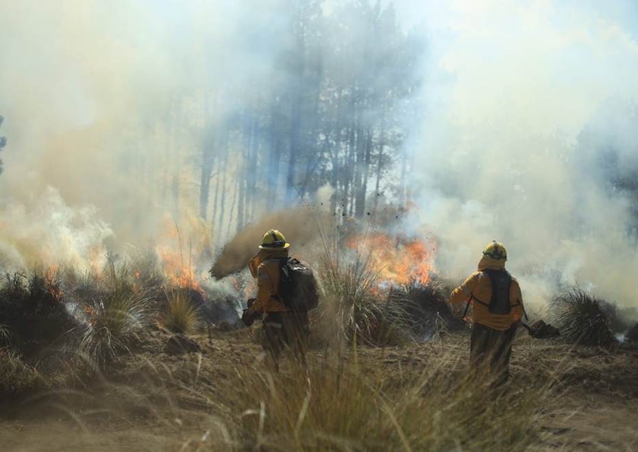 Incendios forestales. “Tenemos que aprender a conocerlos para evitar catástrofes”