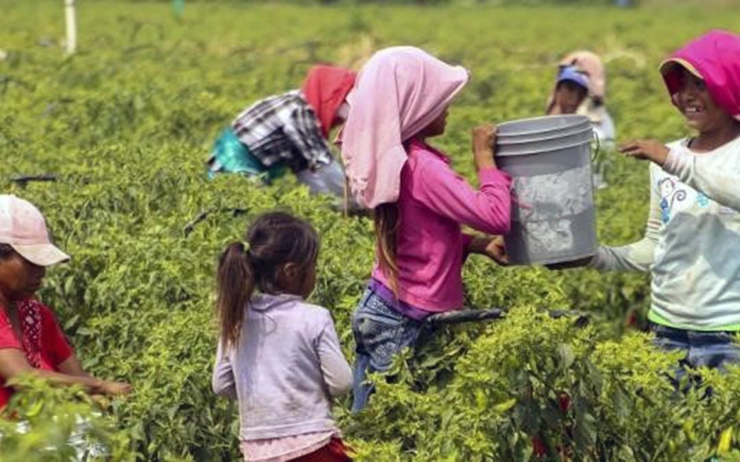 México incumple en la protección de la infancia: 3.7 millones de niños en trabajo infantil