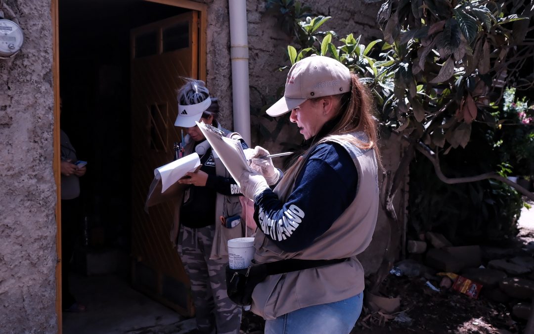 Sin muertes por dengue en Jalisco en lo que va del año; refuerzan estrategia de vigilancia epidemiológica