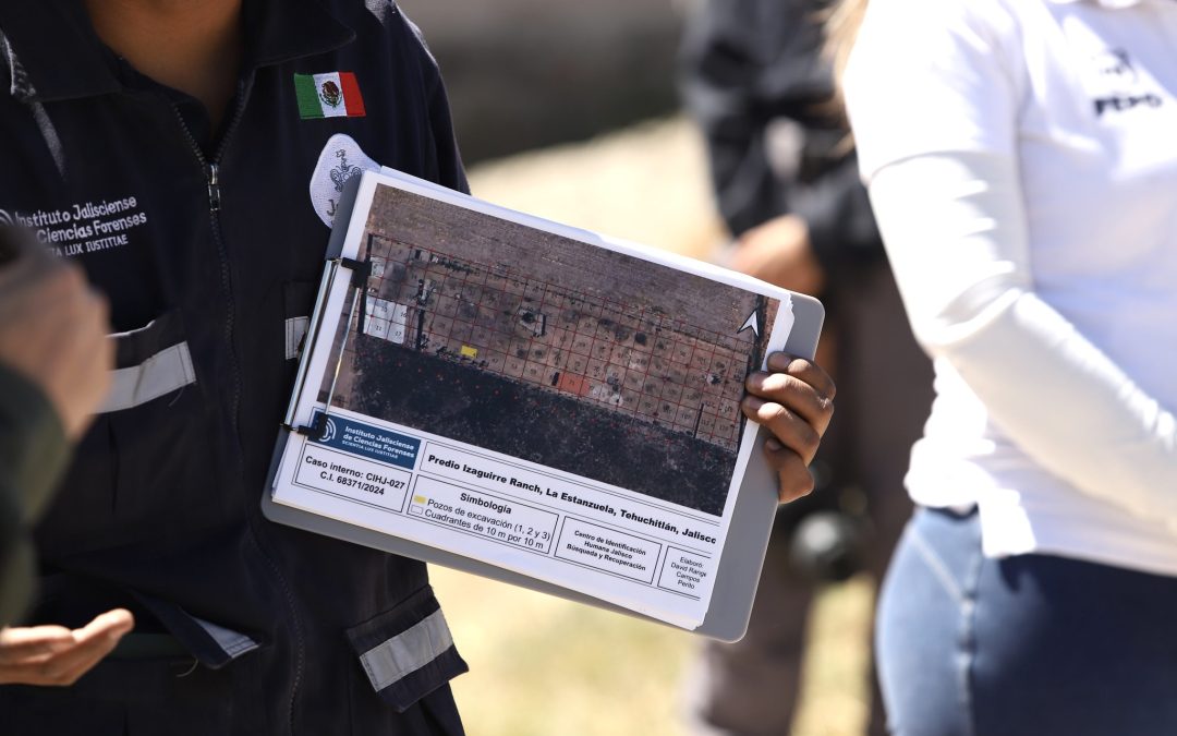 Ciencia, tecnología y cerdos: la nueva ruta para buscar desaparecidos en México