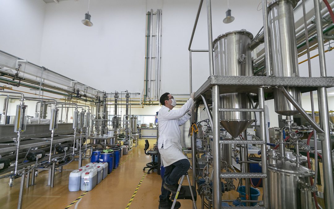 Se desploma generación de empleo formal en el primer semestre del año