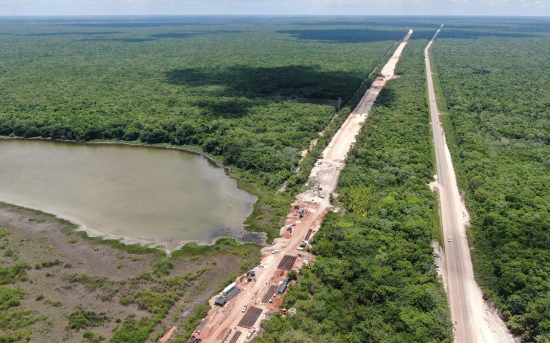 Ordenan expropiación de 23.4 hectáreas más para el Tren Maya