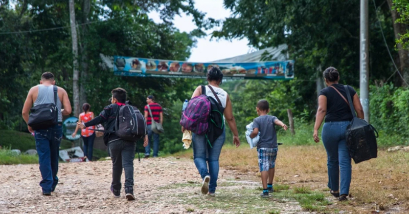 Aumentan los desplazamientos forzados en Tierra Caliente, Michoacán, ante violencia con drones, minas y ataques armados