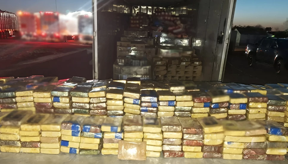 Golpe al Cártel de Sinaloa: decomisan más de 75 mdp en droga en Sonora