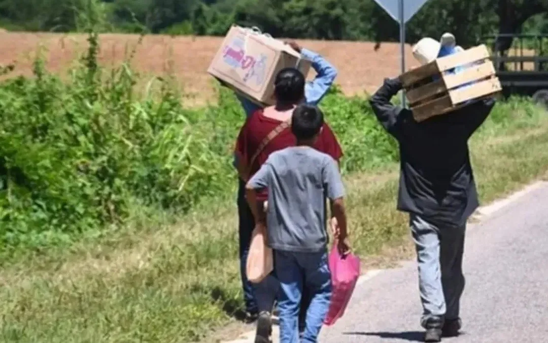 Desplazados por la narcoguerra: familias huyen a Mazatlán tras conflicto entre “La Mayiza” y “La Chapiza”