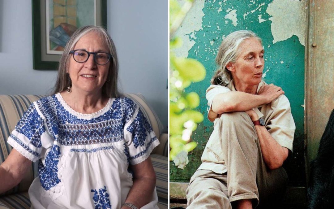 Jane Goodall y Julieta Fierro: mujeres que inspiran