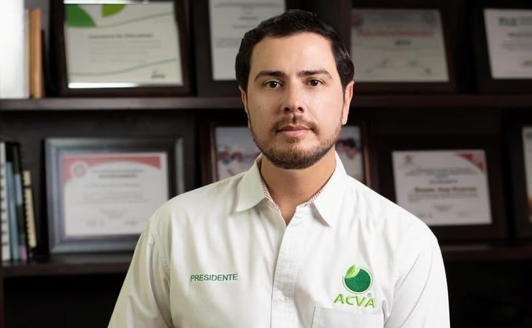 Extorsiones del crimen organizado disparan el precio del limón y desatan una ola de violencia en Michoacán
