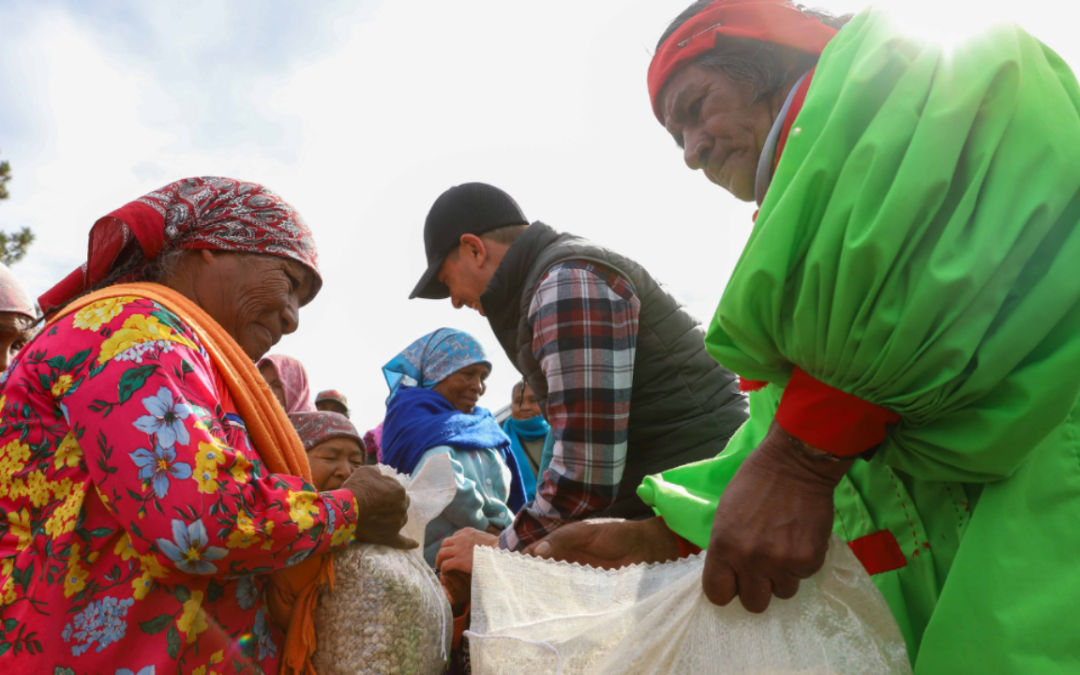 Rebrote de sarampión y tuberculosis desata crisis de salud en la Sierra Tarahumara