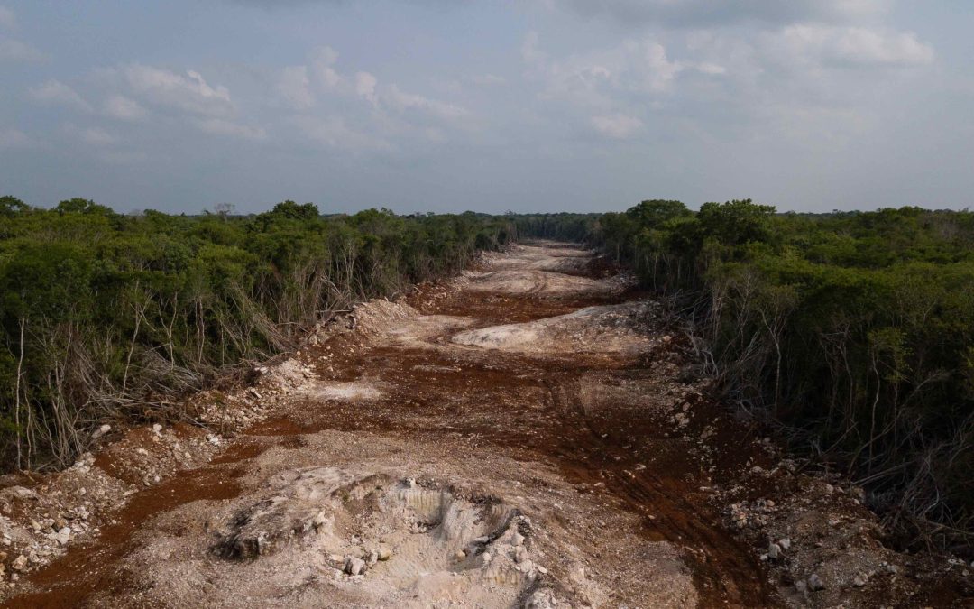 Tren Maya detona criminalidad, urbanización irregular y daños ecológicos masivos