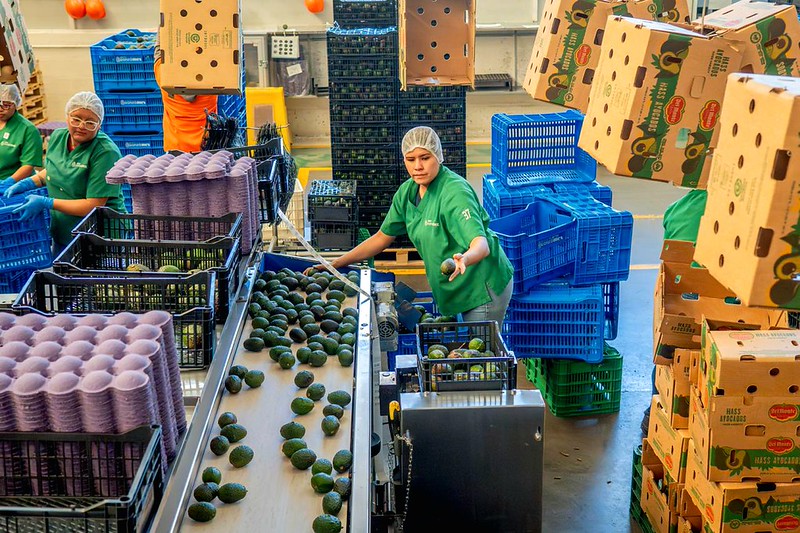 Enero de 2026 registra la peor caída de empleo formal para este mes desde 2009