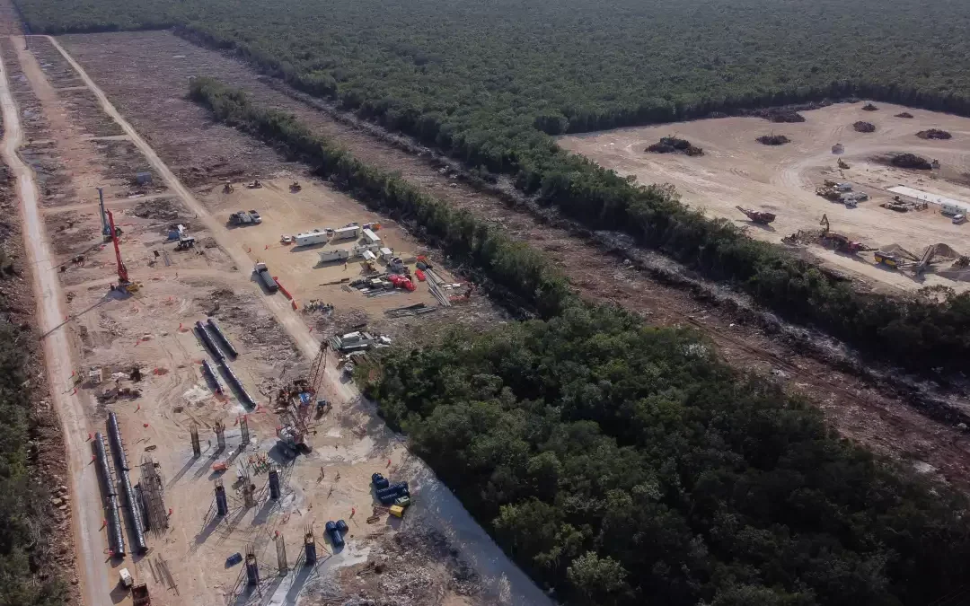 Un juez concede suspensión definitiva contra el Tren Maya y obliga a reforzar la protección ambiental en el Tramo 5