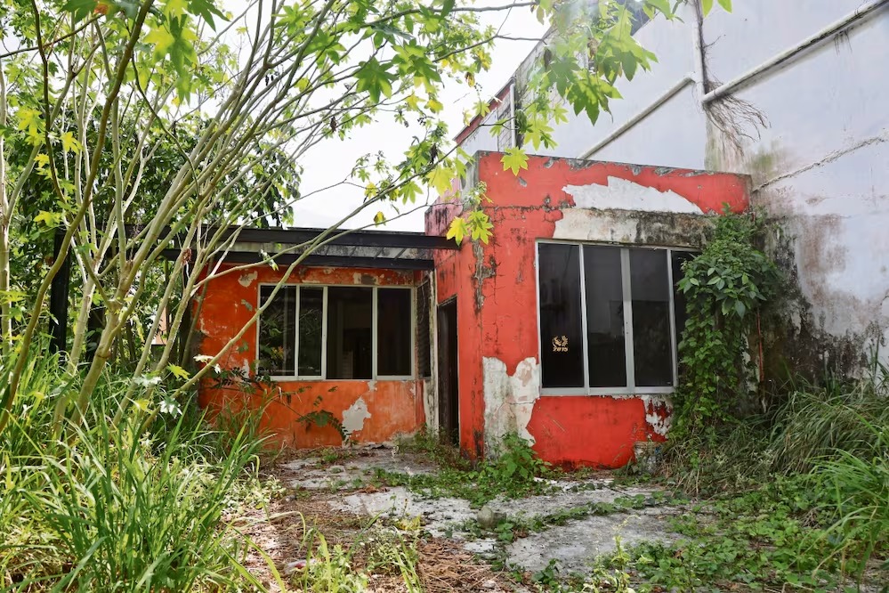 EMPRESARIO DE XV AÑOS OPERA RED DE EMPRESAS ENERGÉTICAS